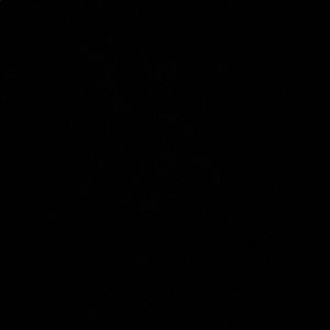 Meet your Posher, Pablo